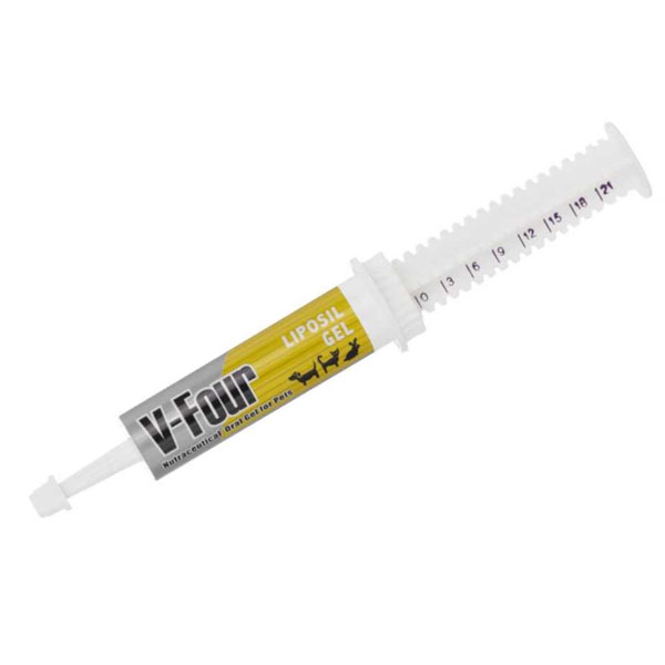 V four Liposil gel 21g วิตามินบำรุงตับสุนัขและแมวแบบเข้มข้น