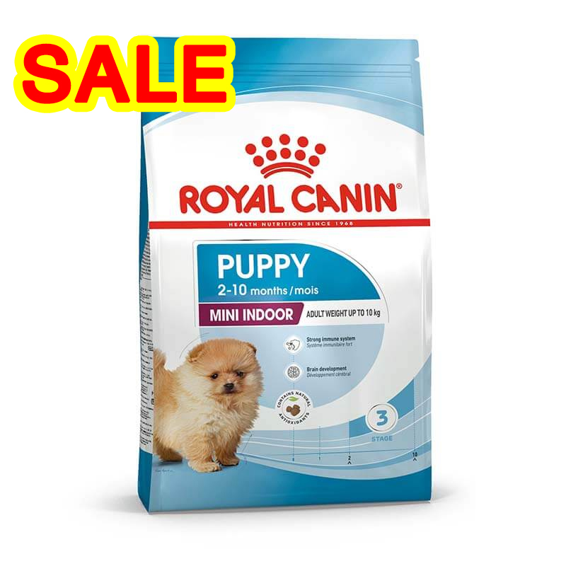 [EXP20-12-2024] ROYAL CANIN MINI INDOOR PUPPY 500g ลูกสุนัขพันธุ์เล็กเลี้ยงในบ้าน