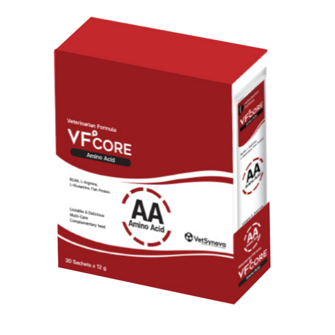 Vf core AA Amino Acid วิตามินแบบครีมเลีย สำหรับสุนัขและแมว 12gx30 ซอง