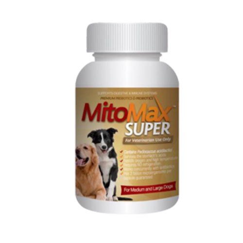 Mitomax Super for Medium and large dogs (30Tabs) อาหารเสริม สุนัขช่วยในระบบย่อยอาหาร