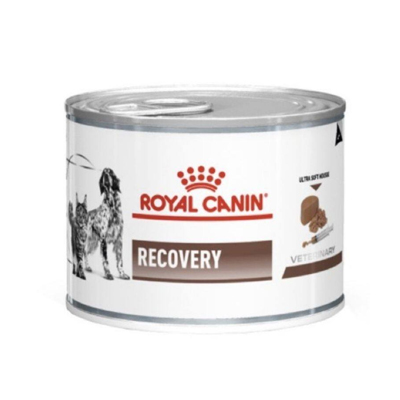 (12กระป๋อง) Royal canin VET recovery 195g อาหารเปียกสัตว์ป่วย พักฟื้น