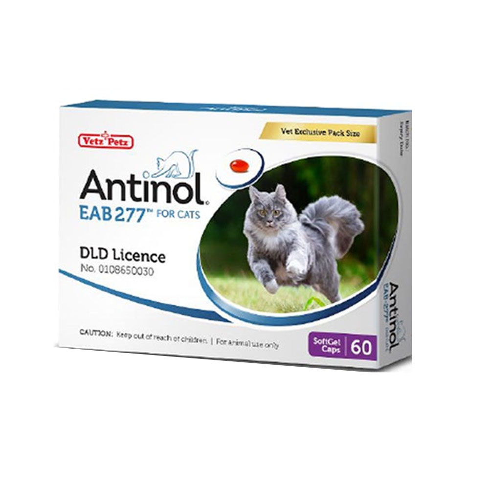 Antinol CAT วิตามินบำรุงข้อแมว 60 เม็ด