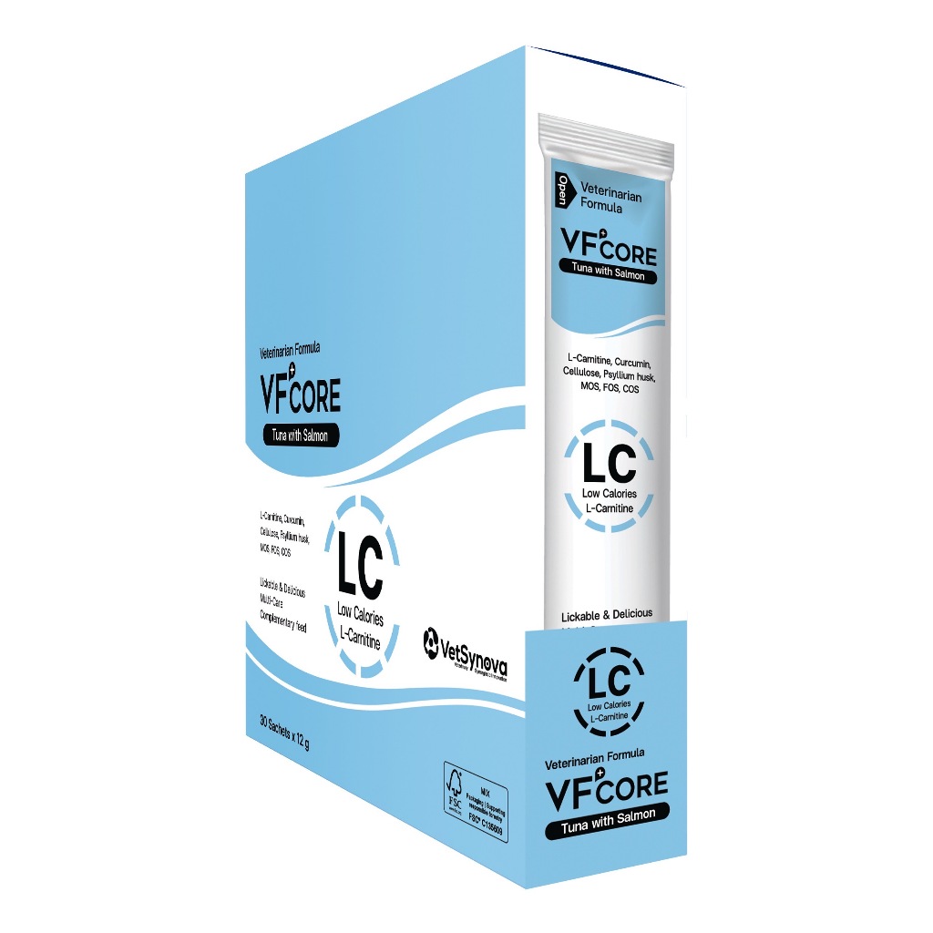 l carnitine sachets FERTIHULK L-Carnitine 2g SACHET 30'S main image 0